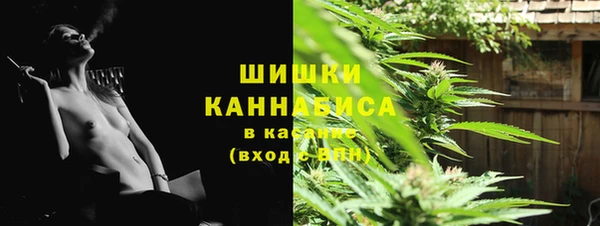 шишки Алзамай