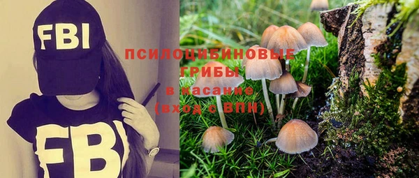 шишки Алзамай