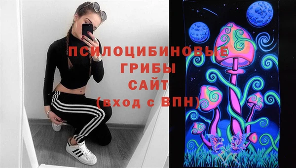 шишки Алзамай