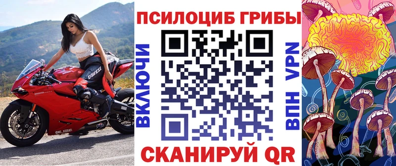 Псилоцибиновые грибы GOLDEN TEACHER  где найти наркотики  Керчь 