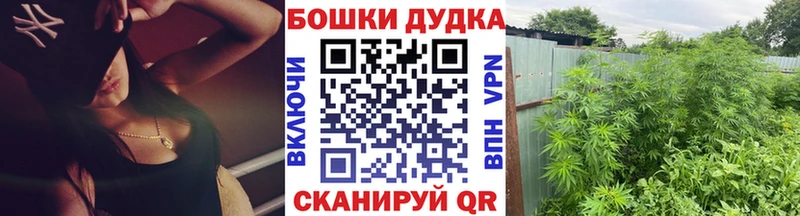 Каннабис сатива  mega онион  Керчь 