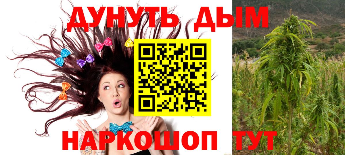 Бошки Шишки Ganja  Шишки марихуана сатива  Каннабис план  Вход с VPN  Марихуана White Widow  Керчь 